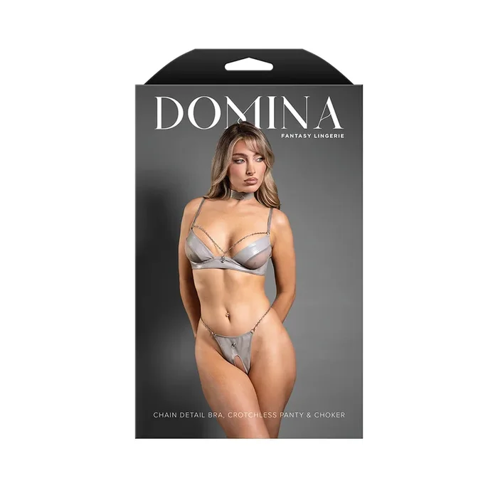 Fantasy Lingerie Domina Bra & Crotchless Panty with Chain Strap Accents & Choker Gray L/XL