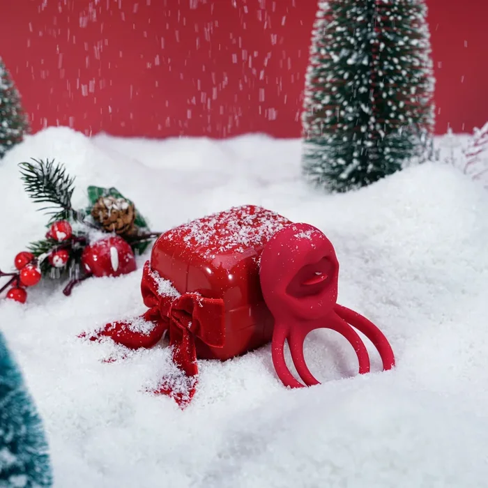 Santa’s Secret Bundle