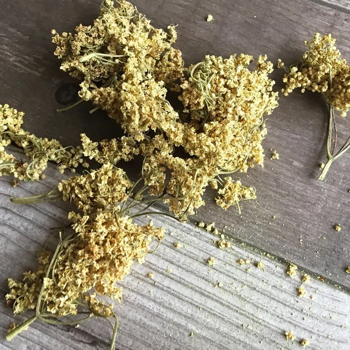True Natural Goodness Dried Elderflowers