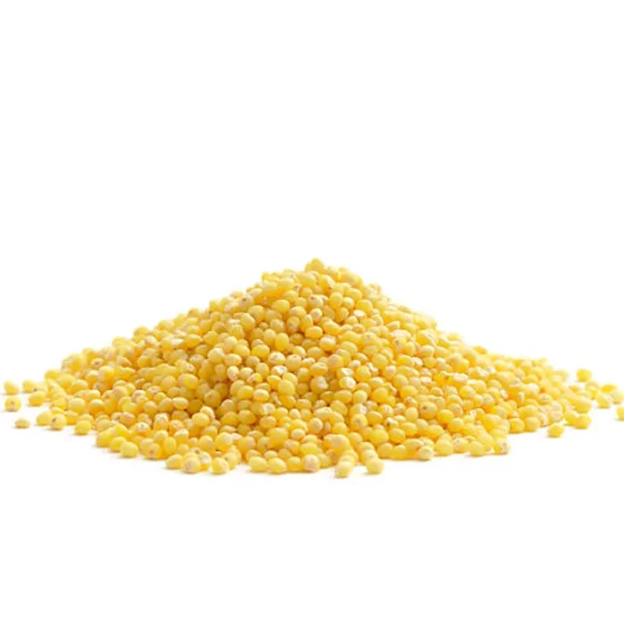 True Natural Goodness Organic Millet Grain