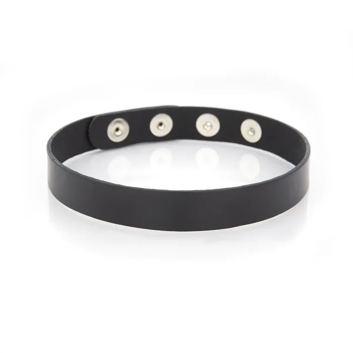 XBLISS Leather Standard Choker